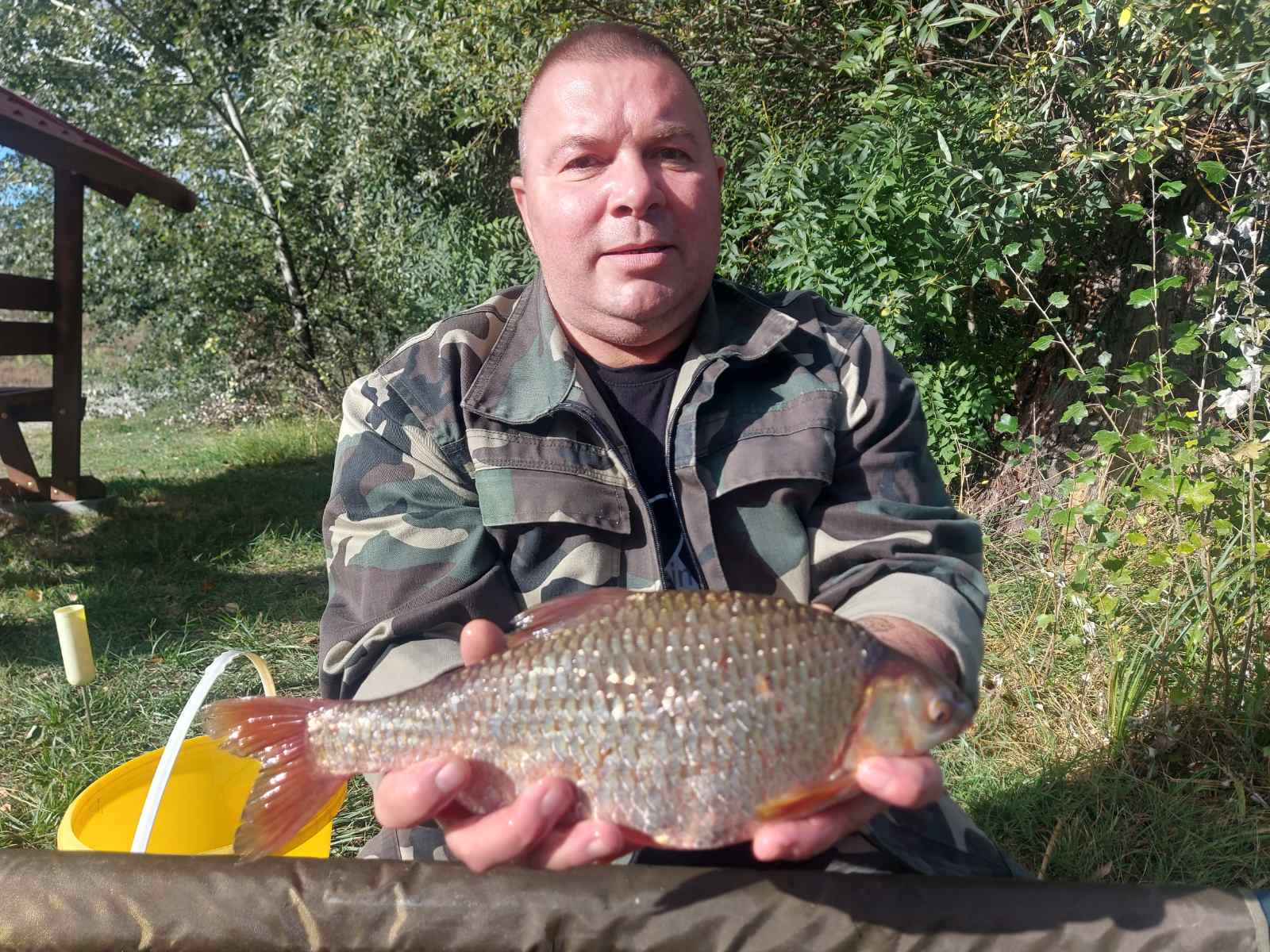 Újabb országos bodorkarekord az RSD-ről!