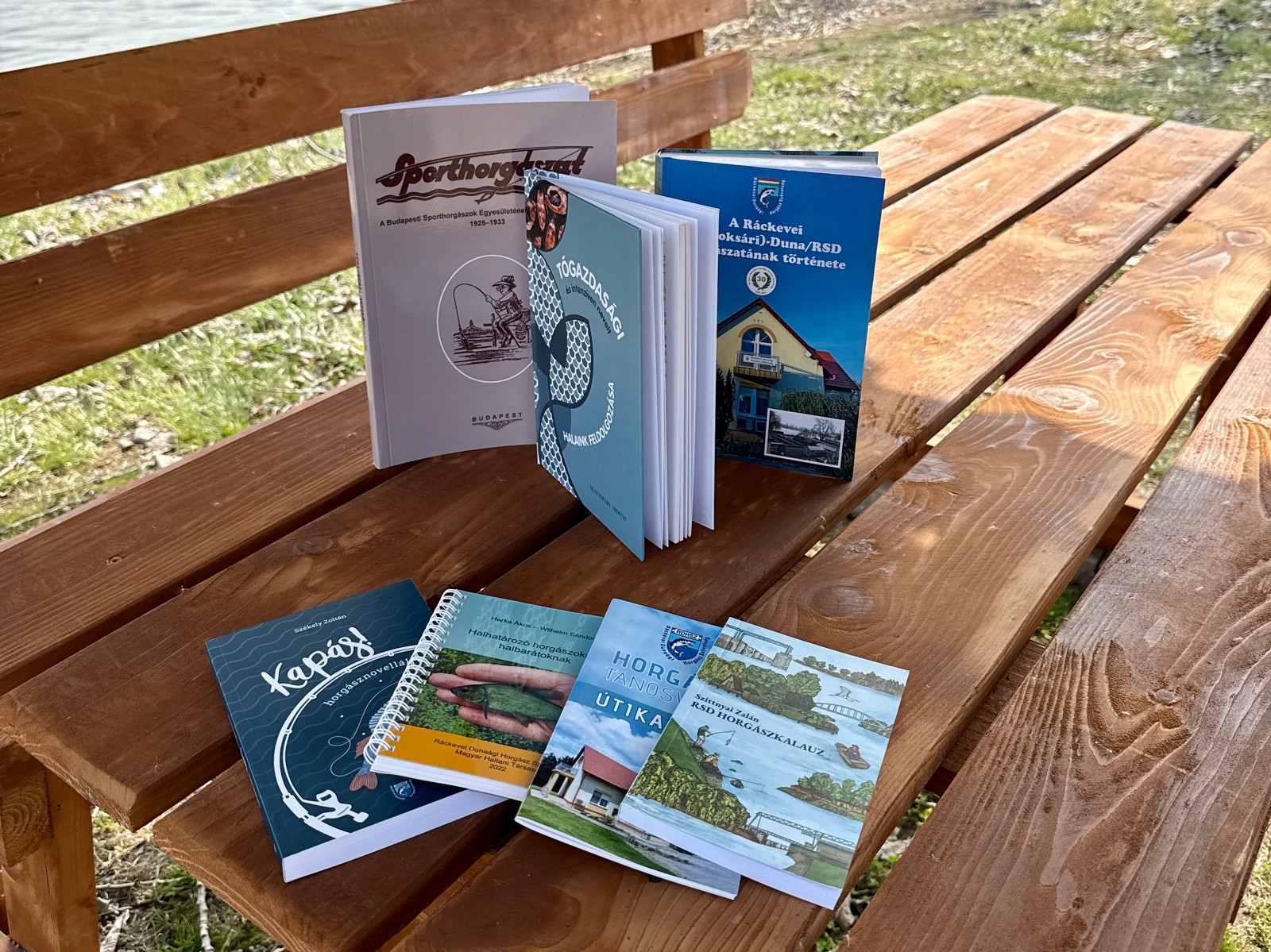 Újra elérhetők az RDHSZ kiadványai