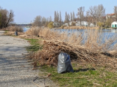 csepeli_versenypalya_2015-10