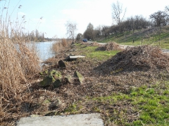 csepeli_versenypalya_2015-11