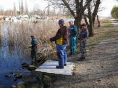 A csepeli versenypálya rendbetétele - 2015