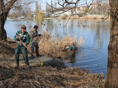 csepeli_versenypalya_2015-17