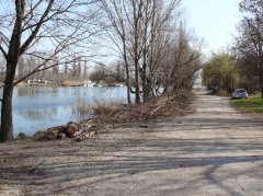 csepeli_versenypalya_2015-18