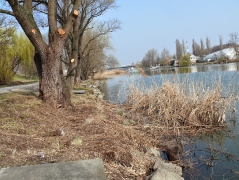 csepeli_versenypalya_2015-1