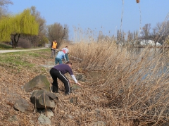 csepeli_versenypalya_2015-2