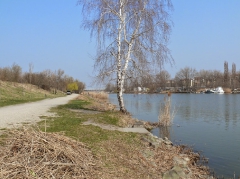 csepeli_versenypalya_2015-3