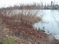 csepeli_versenypalya_2015-6