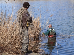 csepeli_versenypalya_2015-9