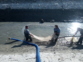 halmentes_20221021_5