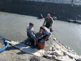 halmentes_20221021_6