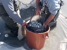 halmentes_20221021_7