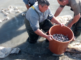 halmentes_20221021_8