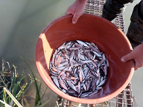 halmentes_20221021_9