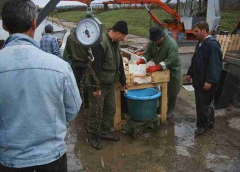 lehalaszas_telepites_10