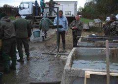 lehalaszas_telepites_12