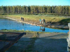 lehalaszas_telepites_2