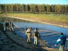 lehalaszas_telepites_3