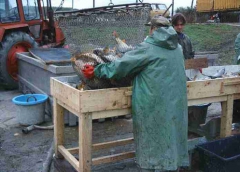 lehalaszas_telepites_7