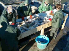 lehalaszas_telepites_8