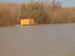 Makádi árvíz 2006