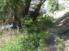 vituki_takaritas_2009_22