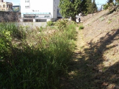 vituki_takaritas_2009_23