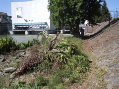 vituki_takaritas_2009_24