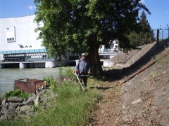 Takarítás a VITUKI területén