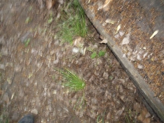 vituki_takaritas_2009_34