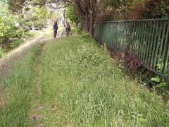 vituki_takaritas_2009_3