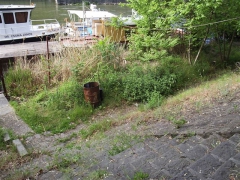 vituki_takaritas_2009_7