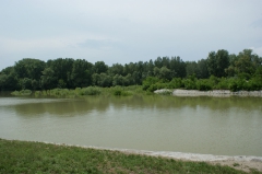 tetozes_2009_tass_10