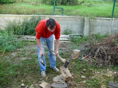 cshe_halfozo_2014-10