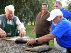 cshe_halfozo_2014-13