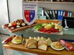 cshe_halfozo_2014-19