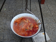 cshe_halfozo_2015-12