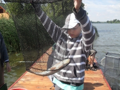 csepel_he_tabor_2012_10