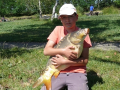 csepel_he_tabor_2012_12