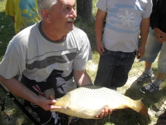 csepel_he_tabor_2012_17