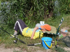 csepel_he_tabor_2012_1