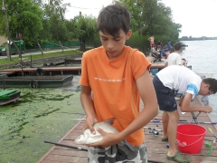 csepel_he_tabor_2012_2