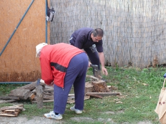 cshe_halfozo_2012_11