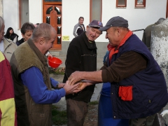 cshe_halfozo_2012_13