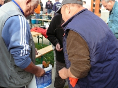 cshe_halfozo_2012_14