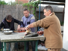 cshe_halfozo_2012_17