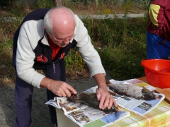 cshe_halfozo_2012_18