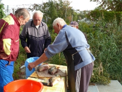 cshe_halfozo_2012_19