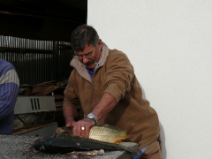 cshe_halfozo_2012_20