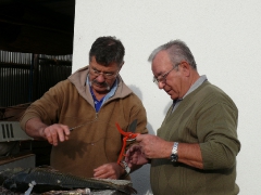 cshe_halfozo_2012_21