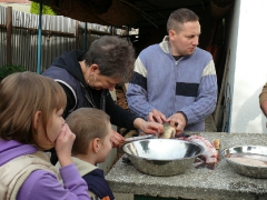 cshe_halfozo_2012_22